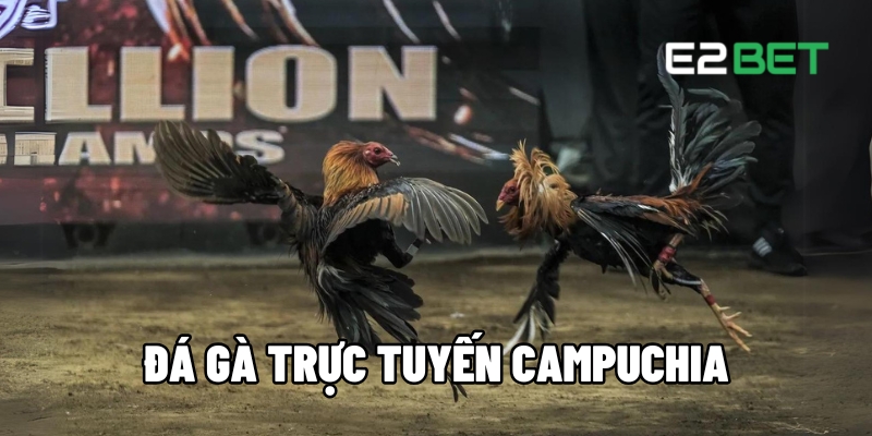 da ga truc tuyen campuchia 1 1